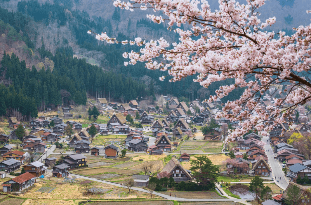 Làng Cổ Shirakawago: Khám Phá Vẻ Đẹp Bất Tận Của Ngôi Làng Cổ Tích Suốt 4 Mùa
