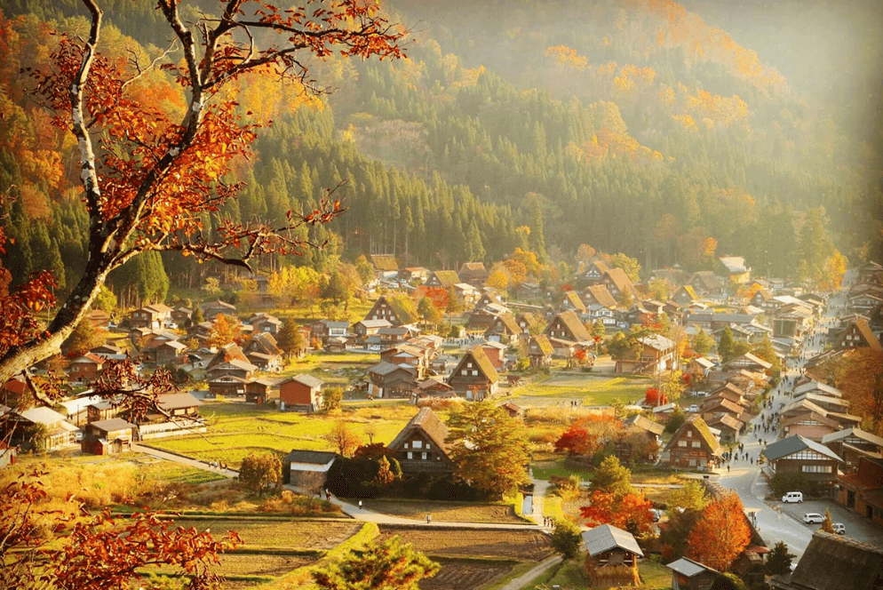 Mùa Thu Ở Shirakawago: Lãng Mạn Với Sắc Lá Đỏ Vàng